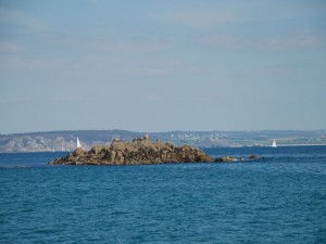 Ty-Gônes - 2014-05-04_16-37-57